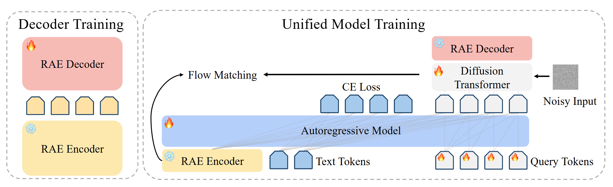 Model architecture operating on RAE tokens