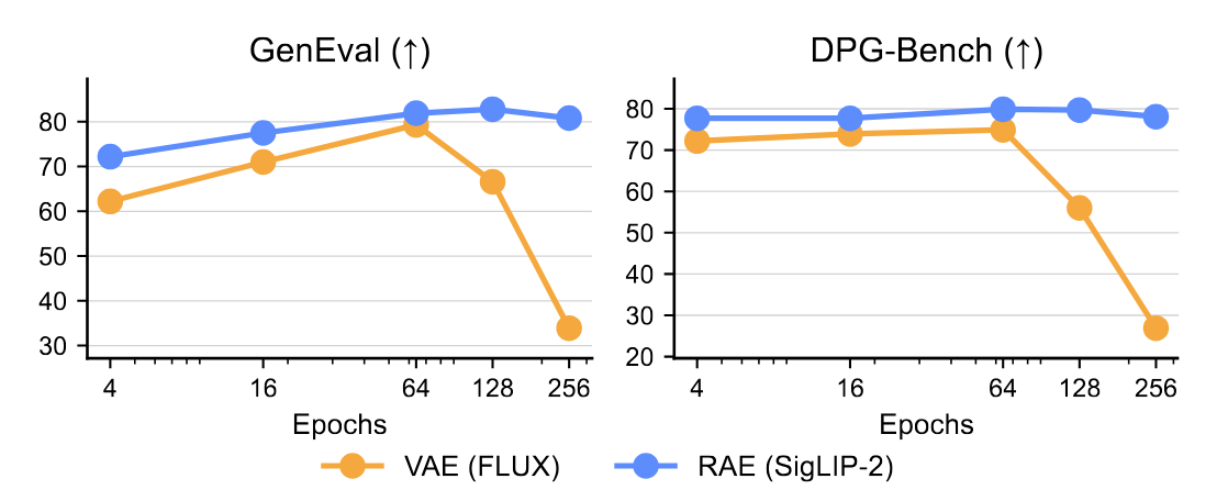 Finetuning comparison between RAE and VAE