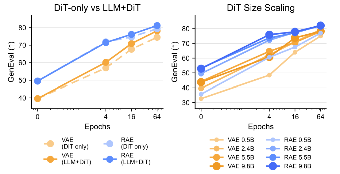 Scaling finetune comparing RAE and VAE